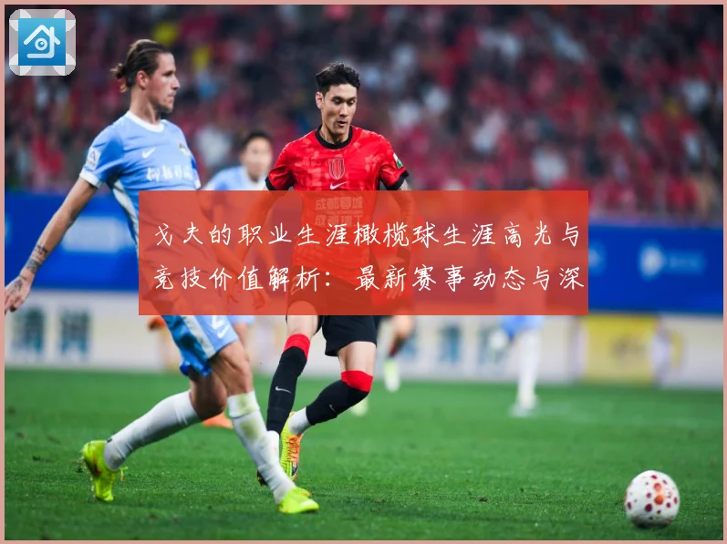 戈夫的职业生涯橄榄球生涯高光与竞技价值解析：最新赛事动态与深度分析